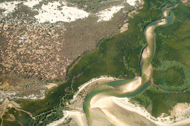 1mangrovesatranacontrast