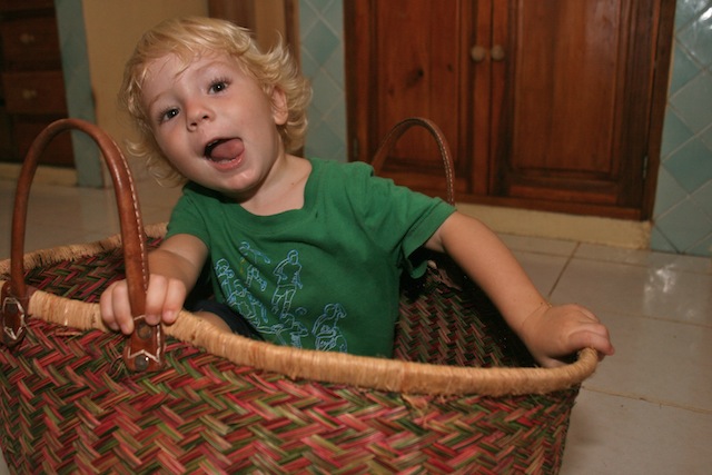 this little guy is a total character!