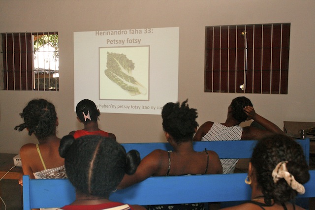 powerpoint presentation