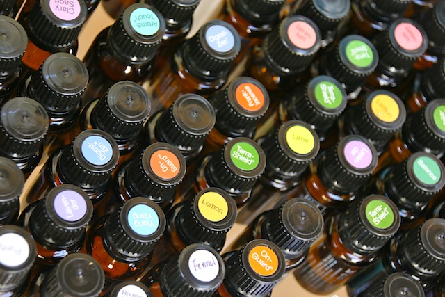eotop