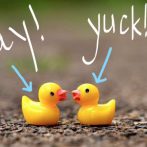 Life is Like a Pair of Ducks